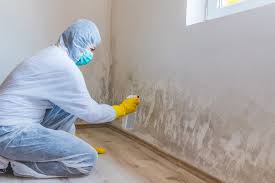 Best Basement Mold Removal  in Lake Pocotopaug, CT