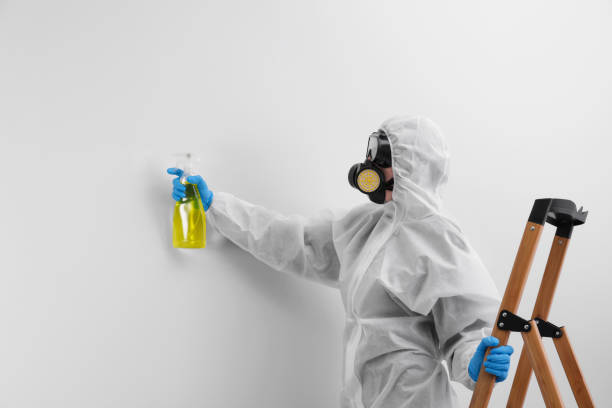 Best Mold Remediation for Healthcare Facilities  in Lake Pocotopaug, CT